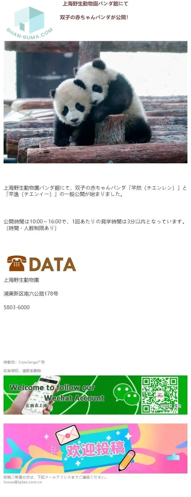 【NEWS】上海野生動物園にて双子の赤ちゃんパンダが公開!