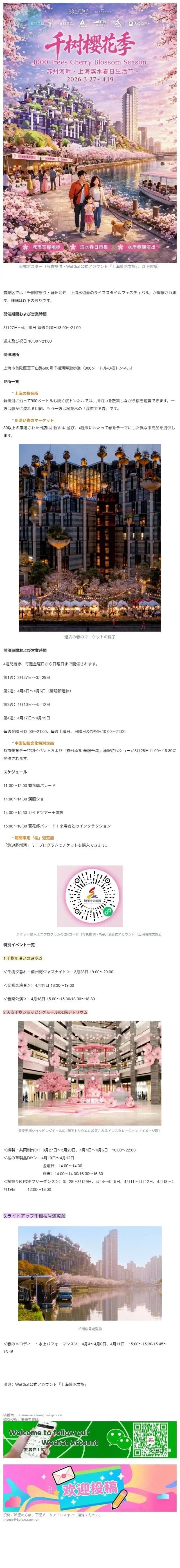 普陀区第4回「千樹桜祭り」がまもなく開催