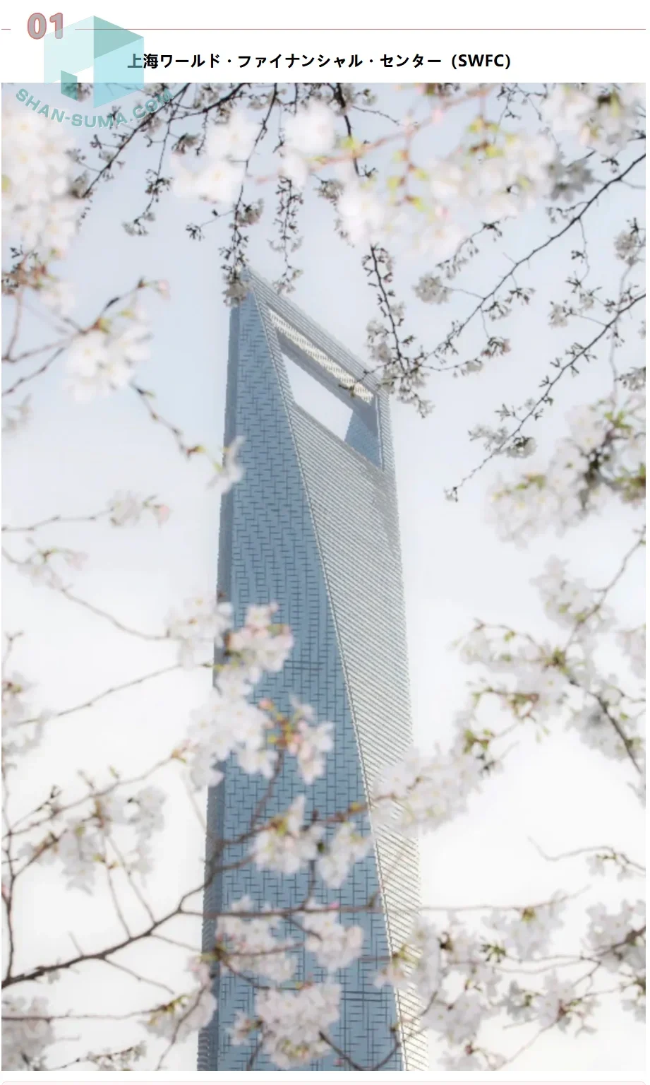 そっと街を彩る、上海の春