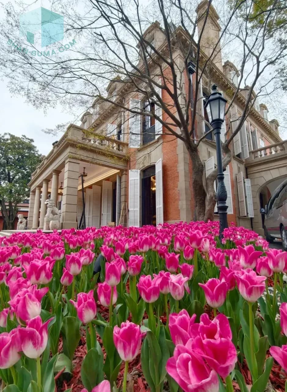 歴史建築が再生!上海の百年ランドマークが華やかに蘇る